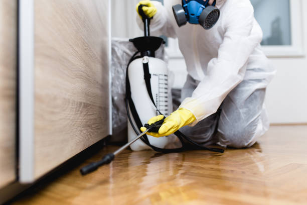 Best Commercial Pest Control Services  in Stow, OH