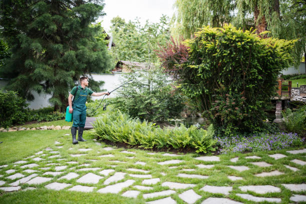 Best Residential Pest Control  in Stow, OH
