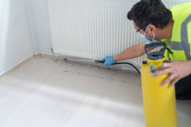 Best Exterminator Services  in Stow, OH